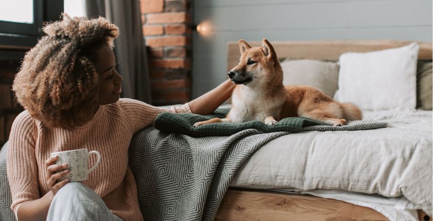 A woman sitting on the floor. She is petting a Shiba Inu dog sitting up on a bed.