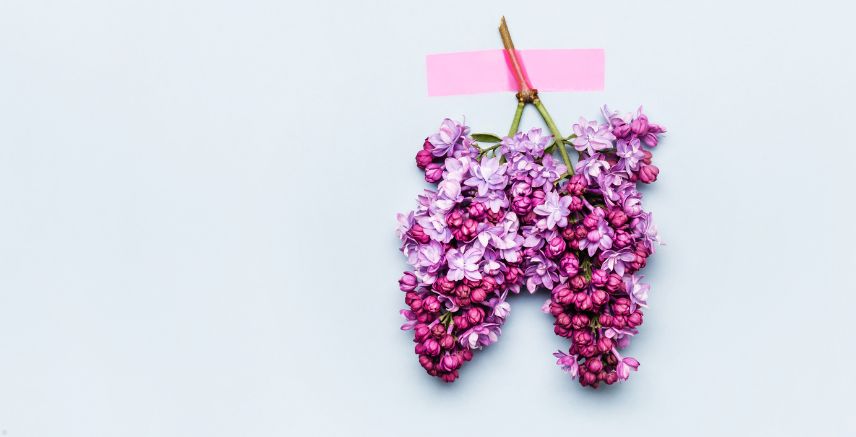 Lilac flowers put together to look like lungs.
