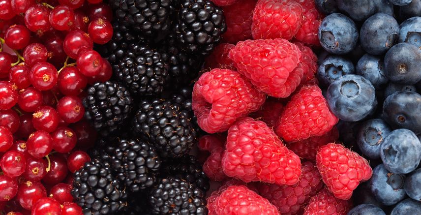 An assortment of different berries including blackberries, strawberries and blueberries.