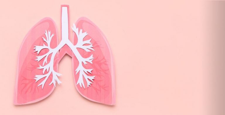 A digital image of lungs on a pink background.